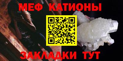 прущие грибы Краснодар