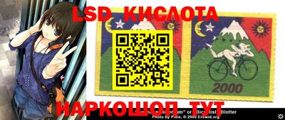 прущие грибы Краснодар