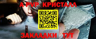 прущие грибы Краснодар