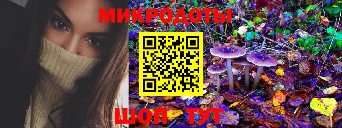 Псилоцибиновые грибы Cubensis Касимов